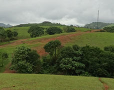 Kottayam District